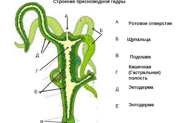 Кракен актуальная ссылка